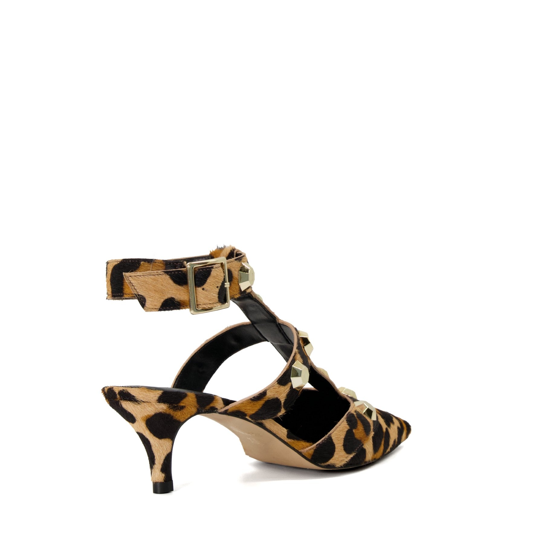 CALIPO - LEOPARD