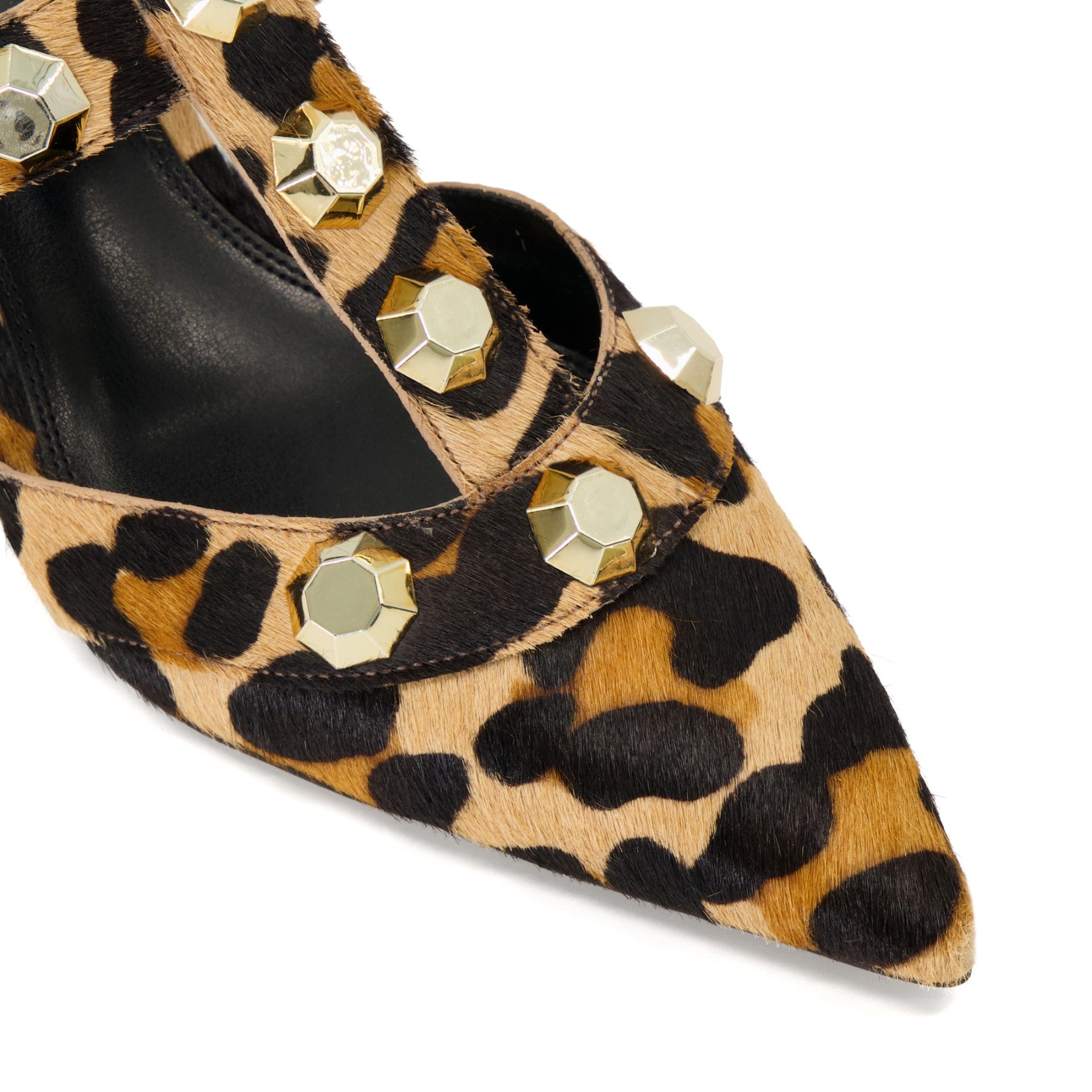 CALIPO - LEOPARD