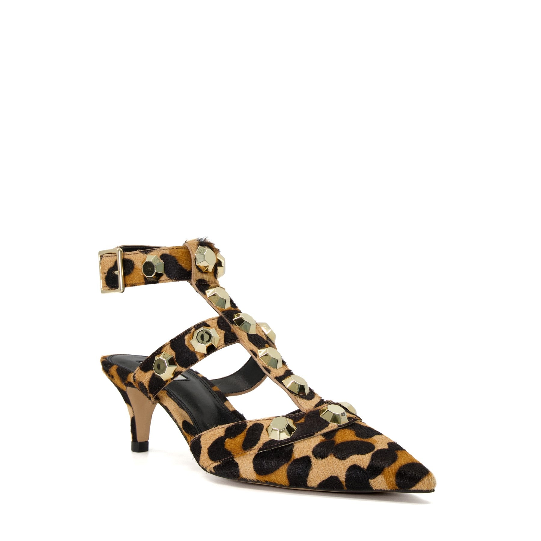 CALIPO - LEOPARD