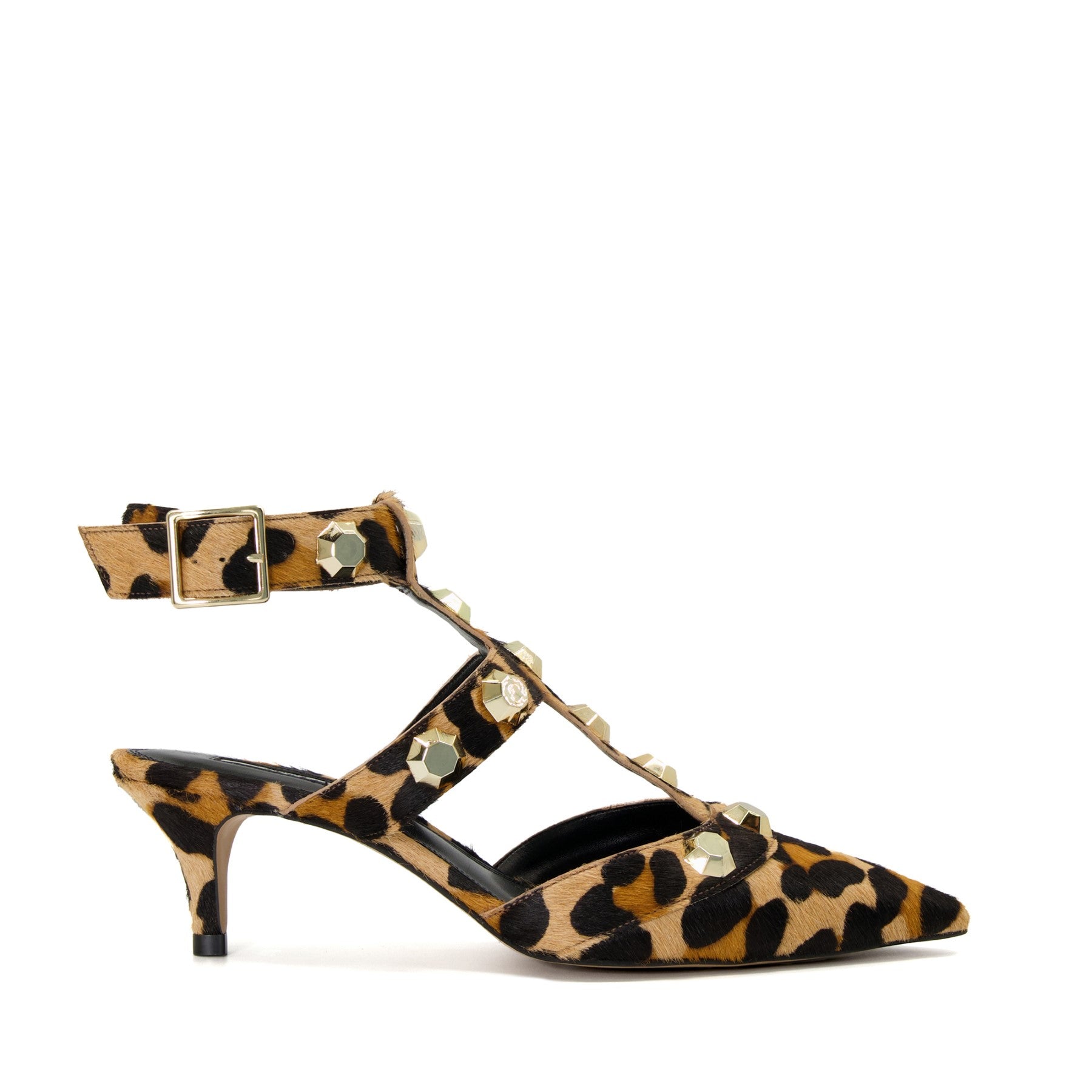CALIPO - LEOPARD