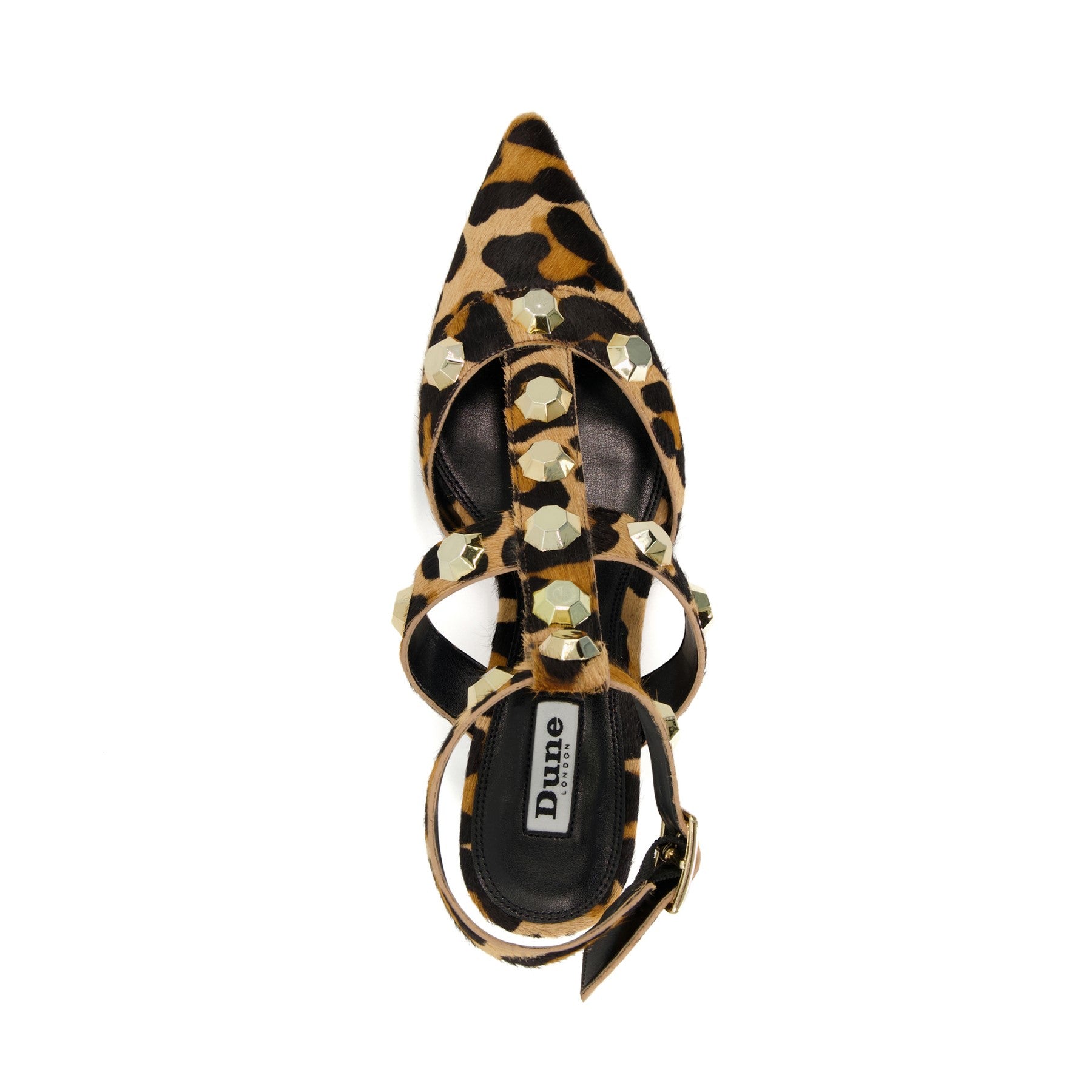CALIPO - LEOPARD