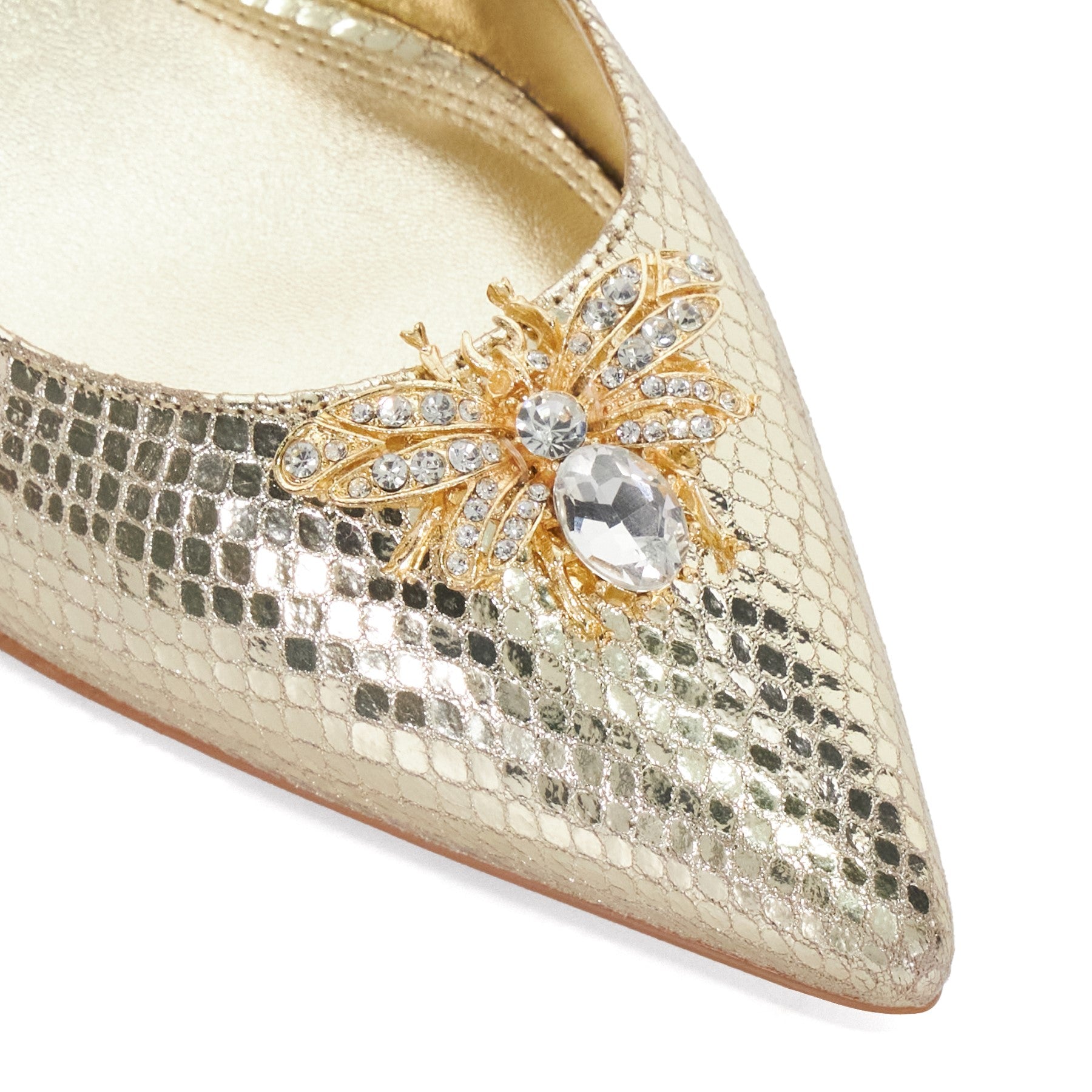 CINCIA - GOLD