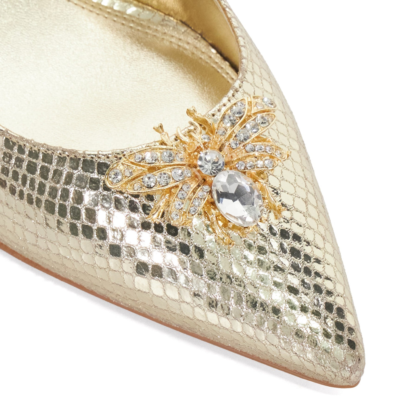 CINCIA - GOLD