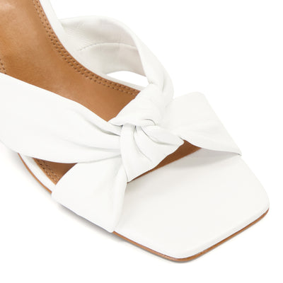 MAIZE - WHITE