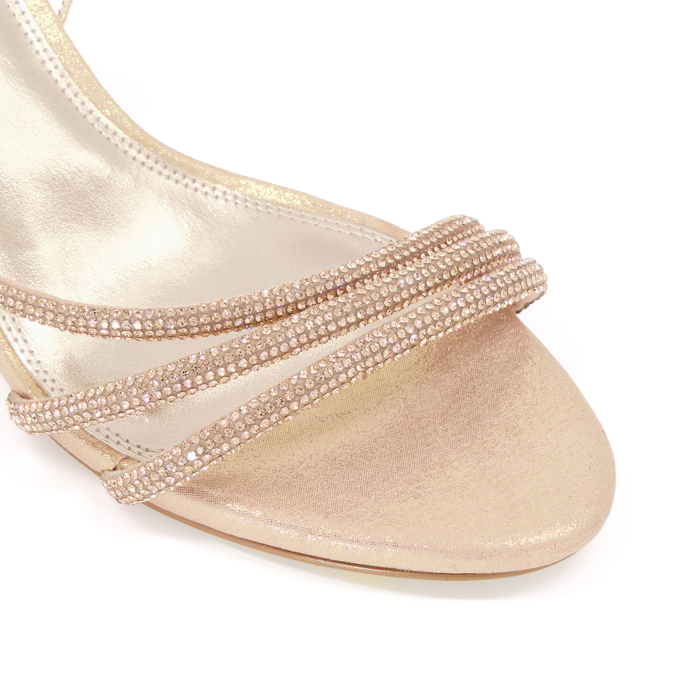 MOLLY - ROSE GOLD